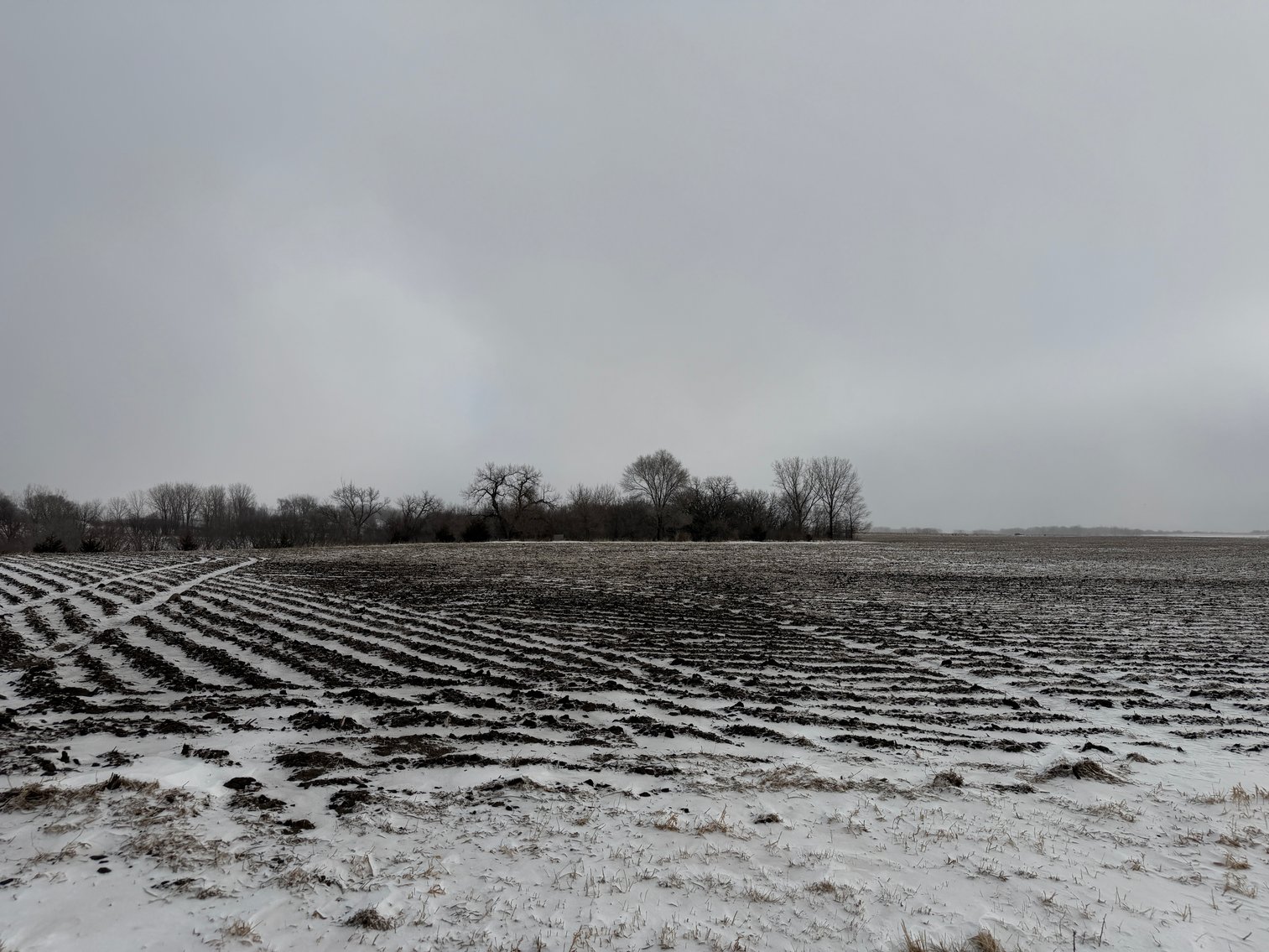 Image for Lac Qui Parle County Land & Building Site Online Only Auction
