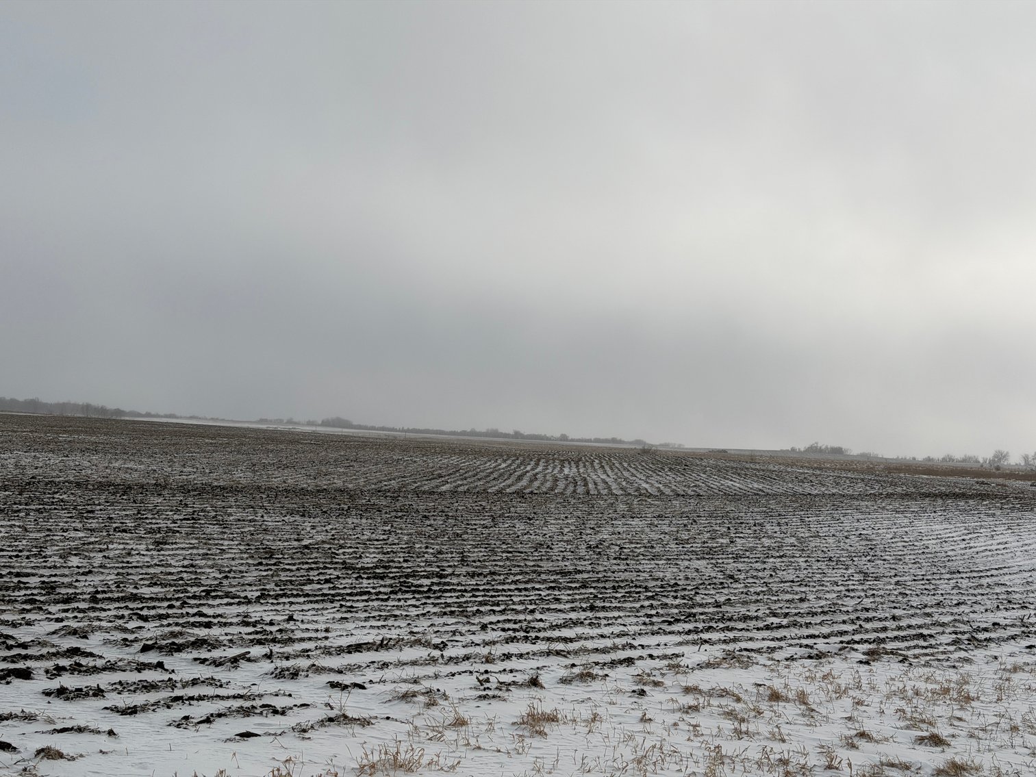 Image for Lac Qui Parle County Land & Building Site Online Only Auction