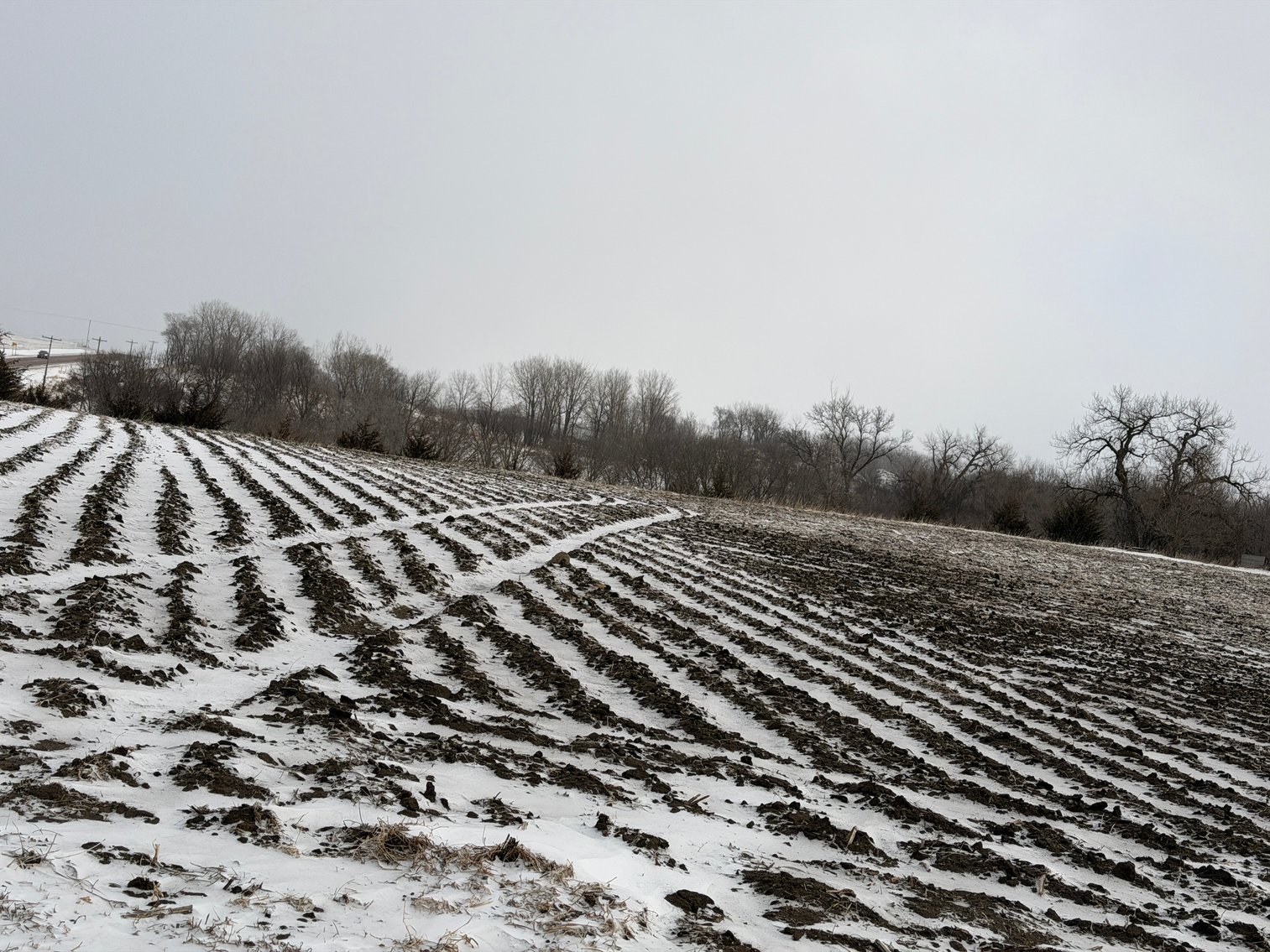Image for Lac Qui Parle County Land & Building Site Online Only Auction
