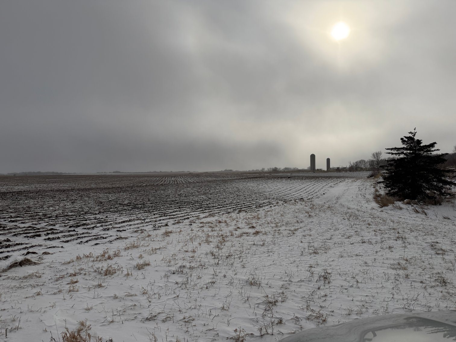 Image for Lac Qui Parle County Land & Building Site Online Only Auction