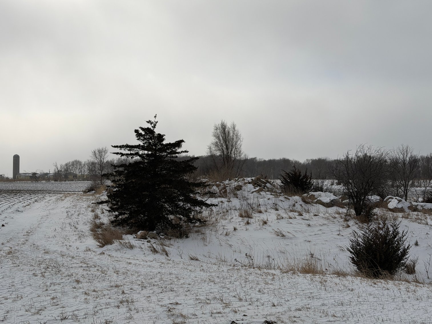 Image for Lac Qui Parle County Land & Building Site Online Only Auction