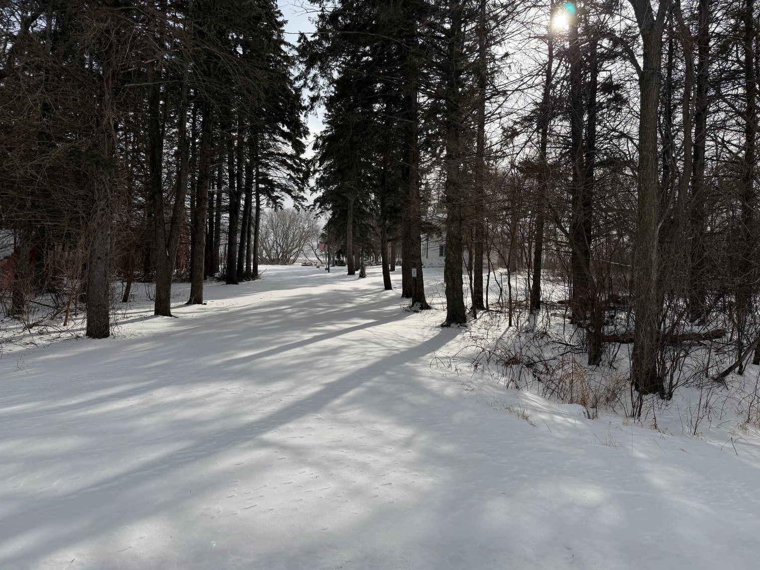 Image for Lac Qui Parle County Land & Building Site Online Only Auction