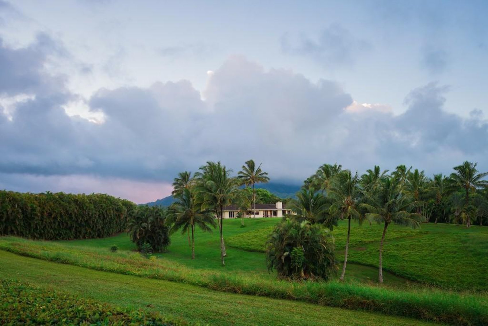 Image for Luxury Real Estate Auction - Wailua Homesteads