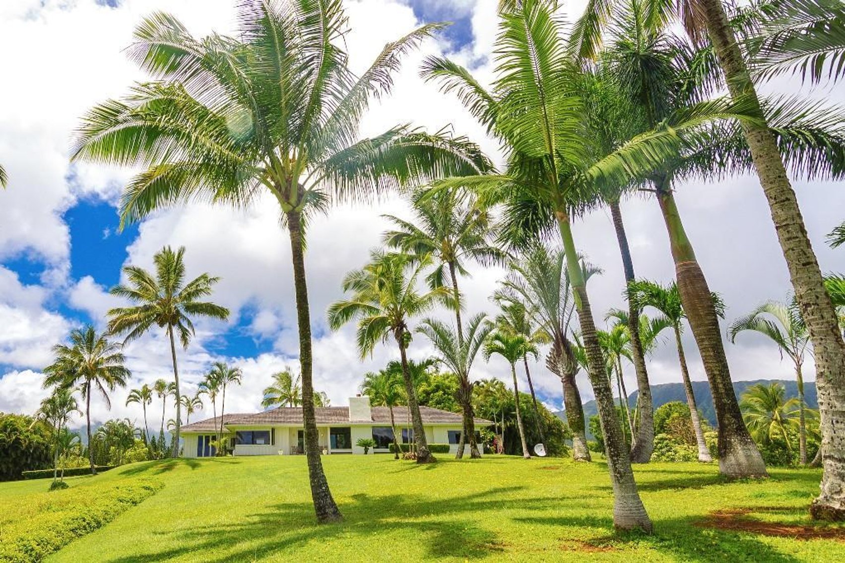Image for Luxury Real Estate Auction - Wailua Homesteads