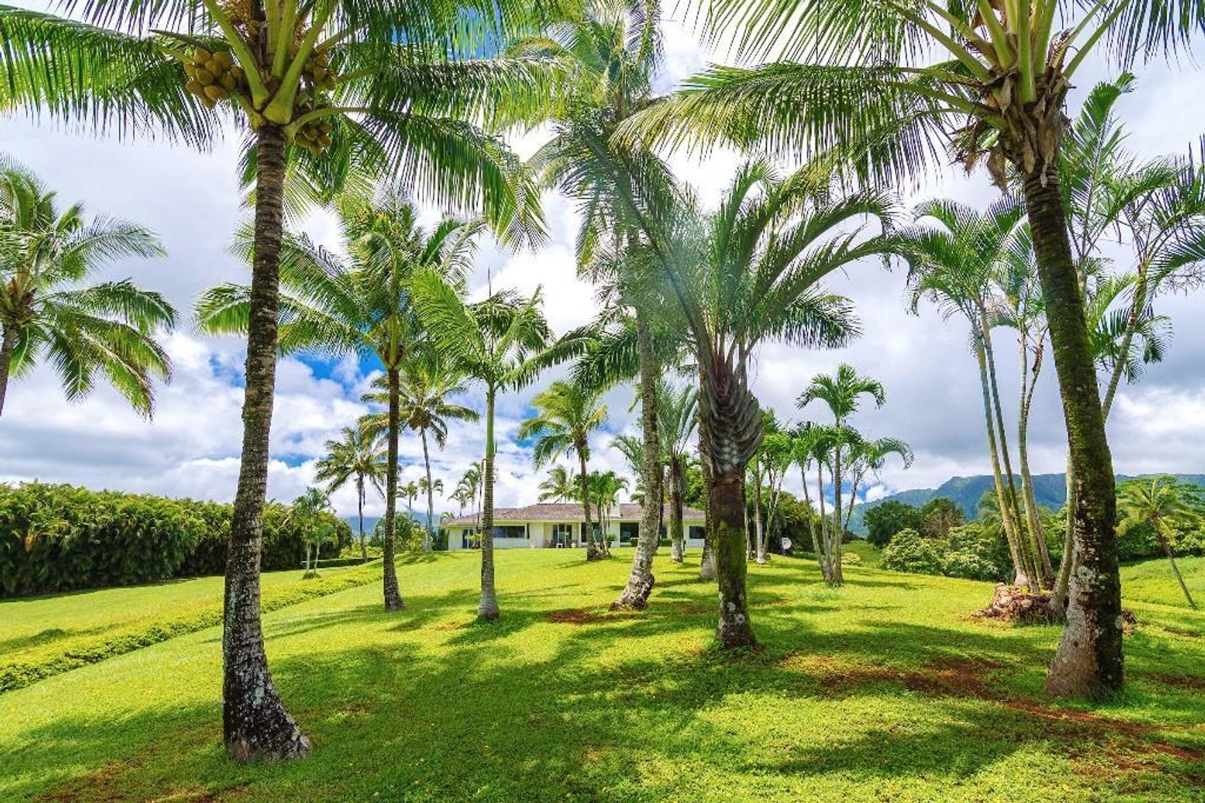 Image for Luxury Real Estate Auction - Wailua Homesteads