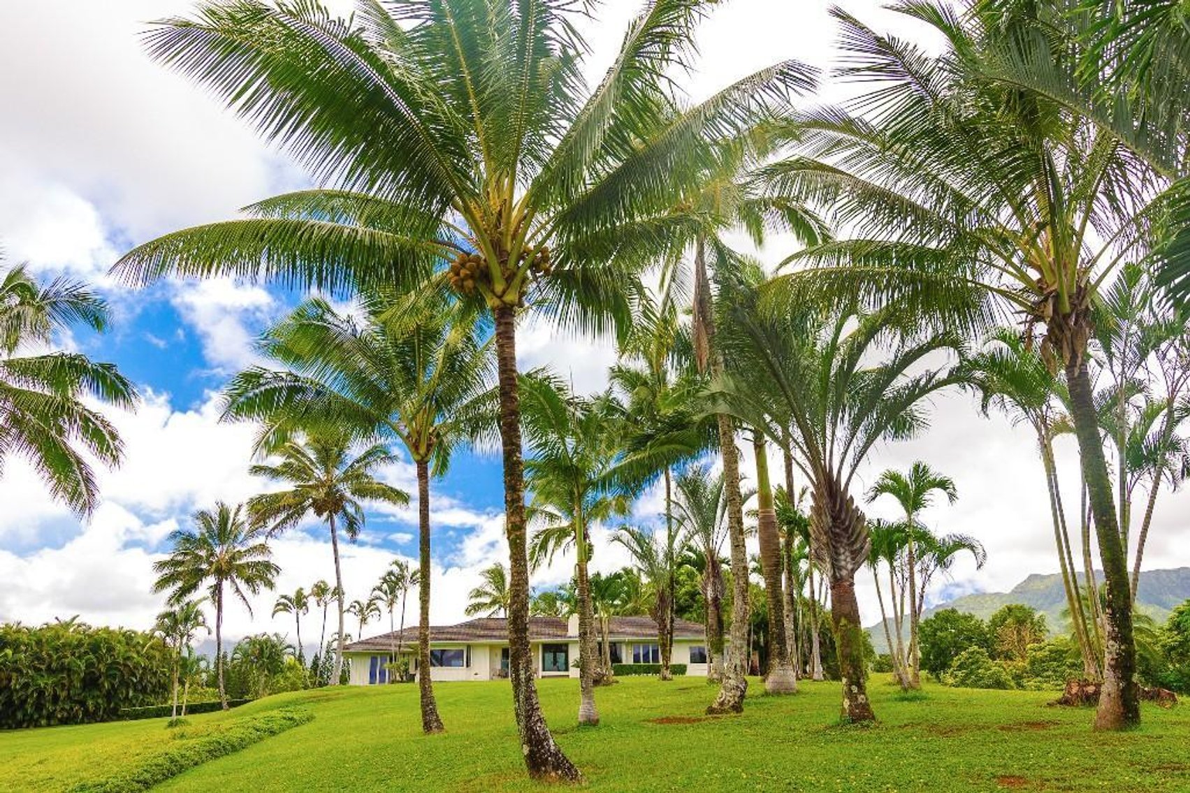 Image for Luxury Real Estate Auction - Wailua Homesteads