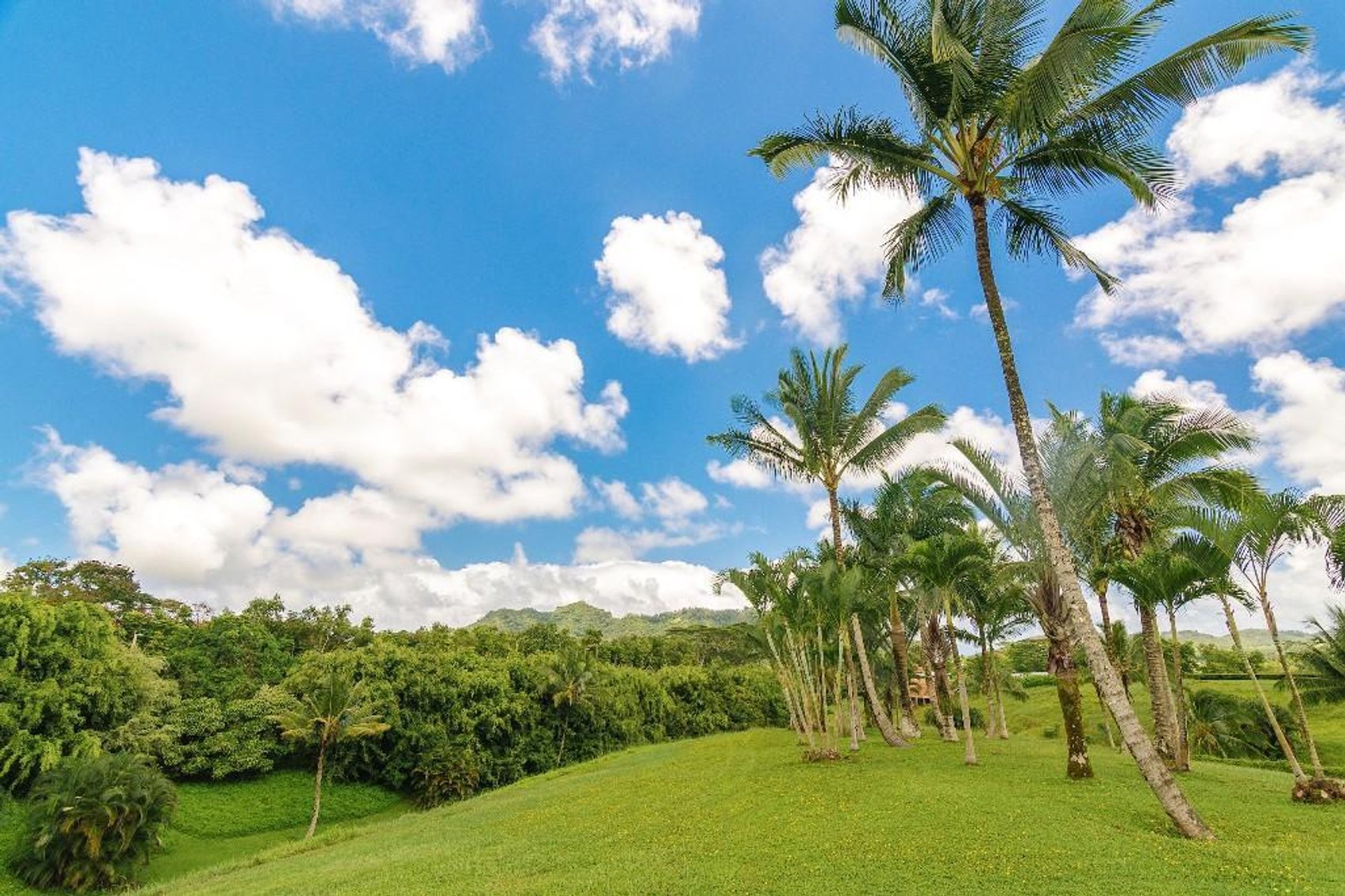 Image for Luxury Real Estate Auction - Wailua Homesteads