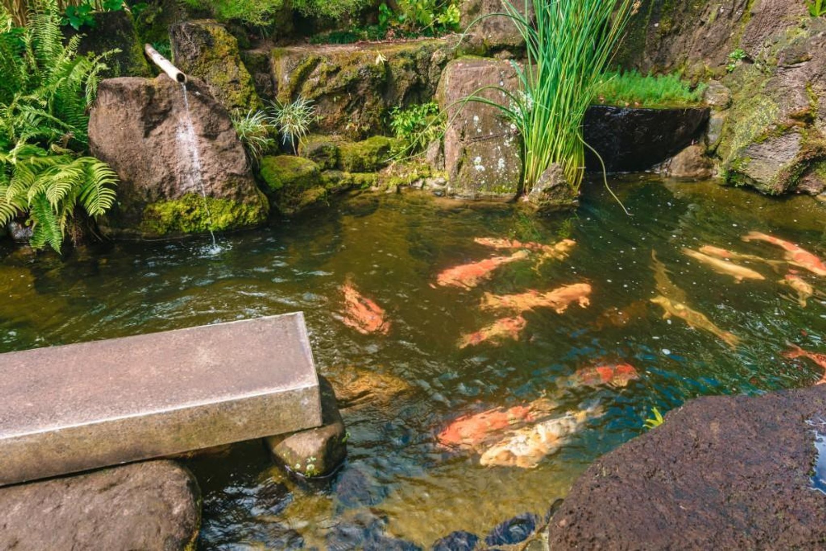 Image for Hale O' Lani Estate