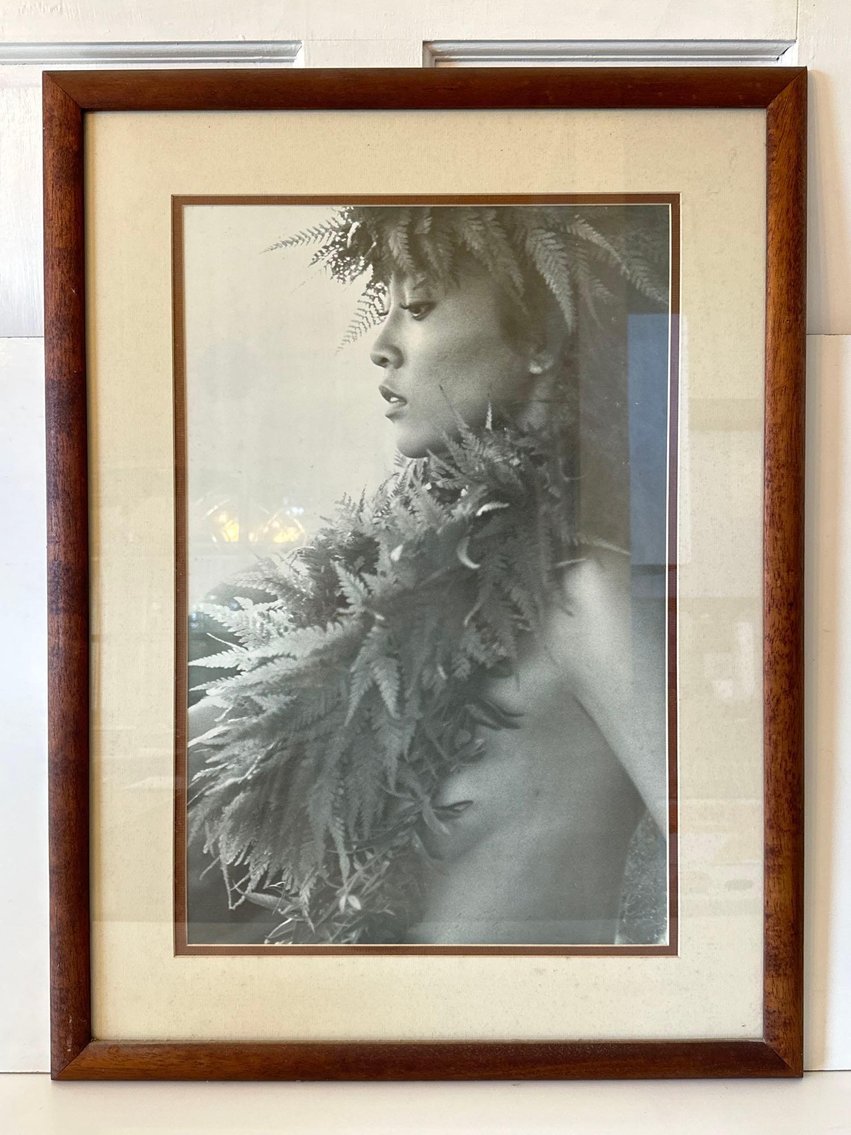 Image for 08/22 Wailua Houselots Nonou Rd (Kauai) Personal Property Auction