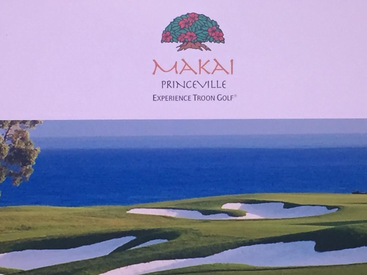 Image for The Bridge: Kaua'i to College