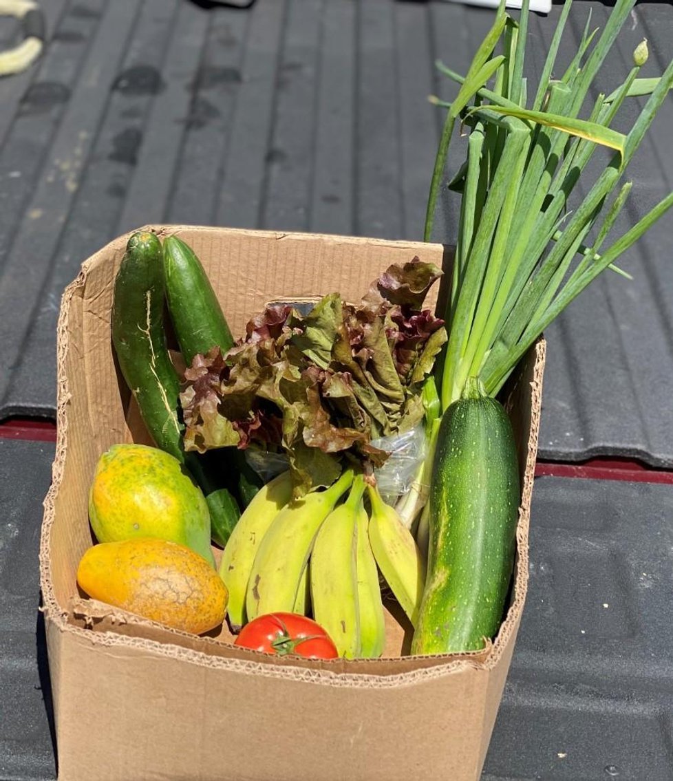 Image for Virtual Farmers Market (VFM) Ends Wed 4/29 - Delivery Fri 5/1