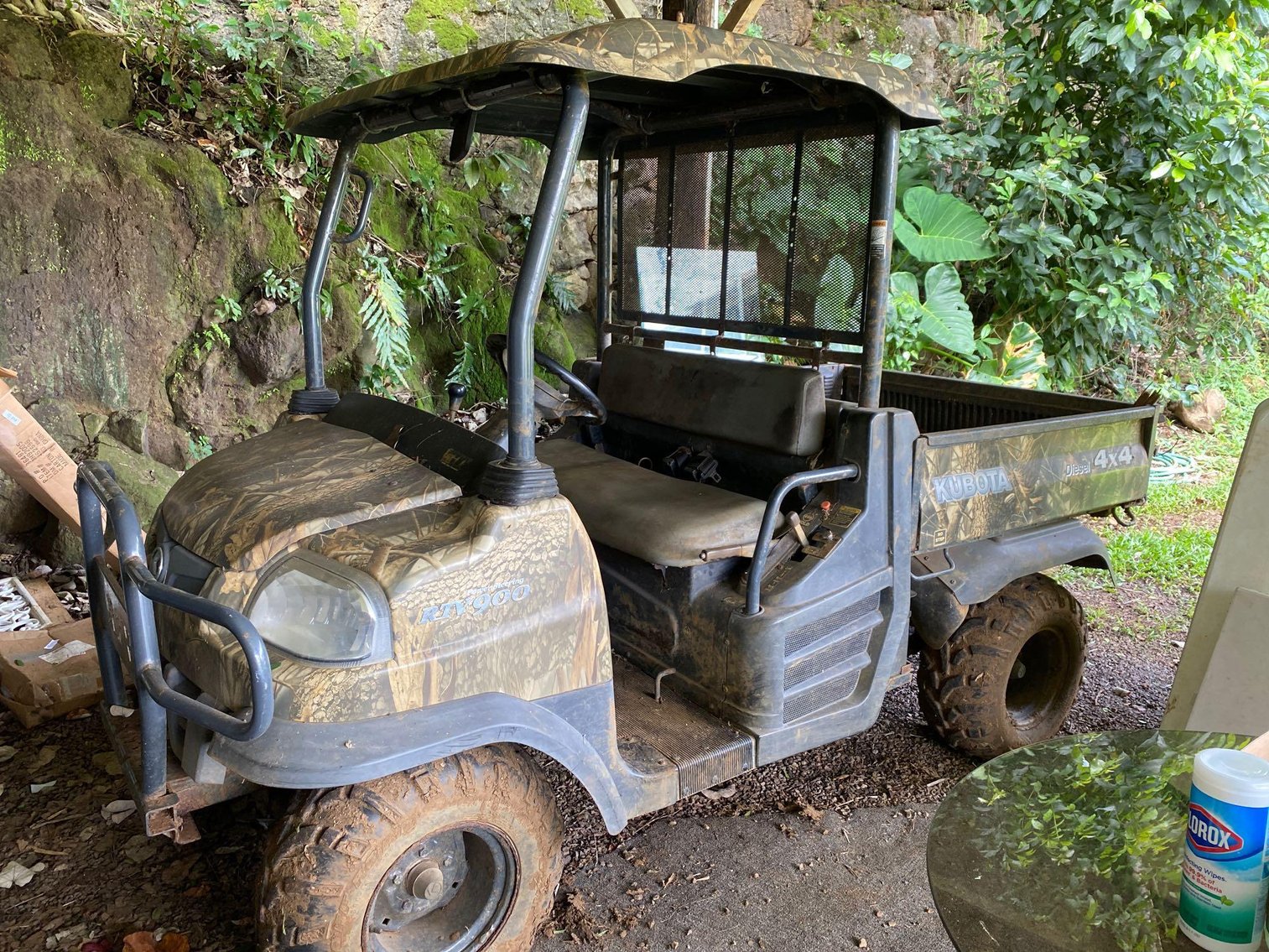 Image for Estate of internationally famous author Anne Willson Schaef - Kalihiwai Valley (Kaua’i) Part 3