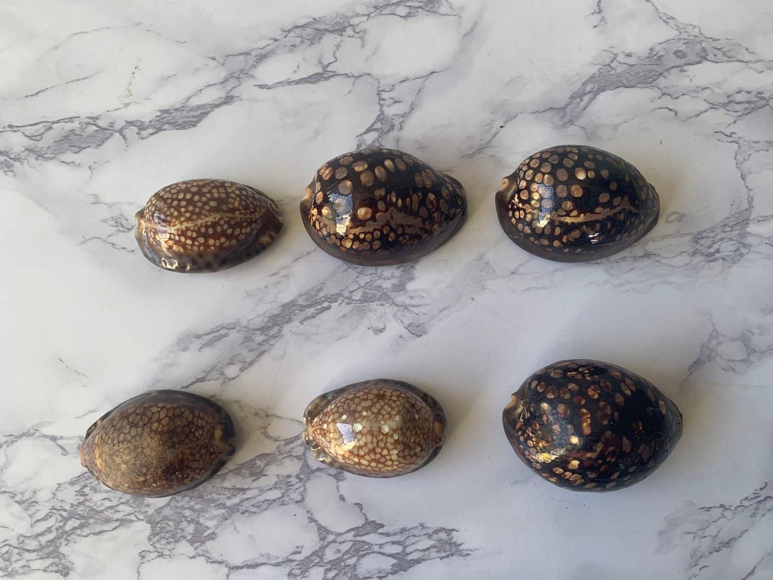 Image for Kapaa (KAUAI) Collaborated Personal Property Auction 06/05