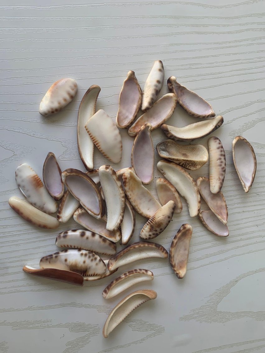 Image for Kapaa (KAUAI) Collaborated Personal Property Auction 06/05