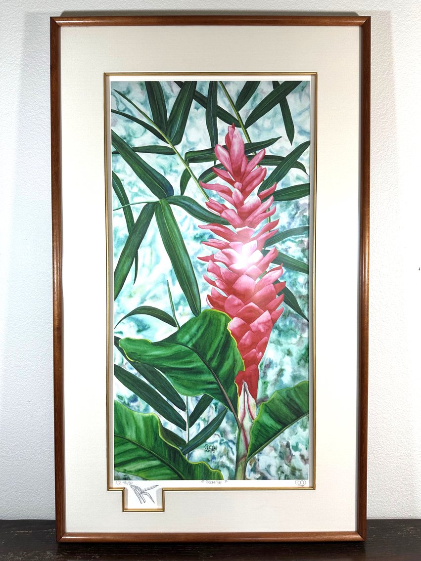 Image for 11/05 Punahele Rd Princeville (KAUAI) Personal Property Auction