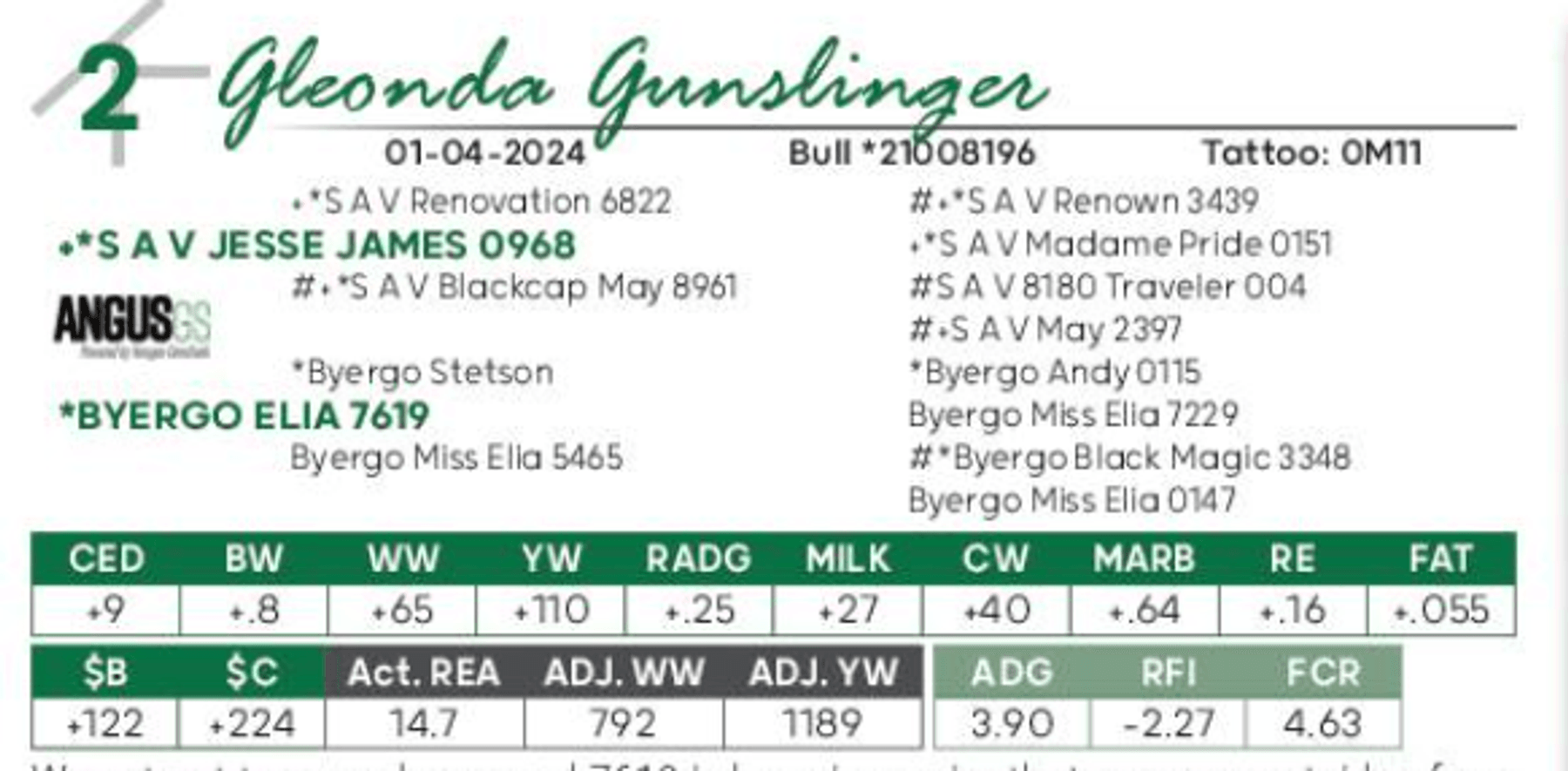 Image for Gleonda Angus Farms 65th Anniversary Sale