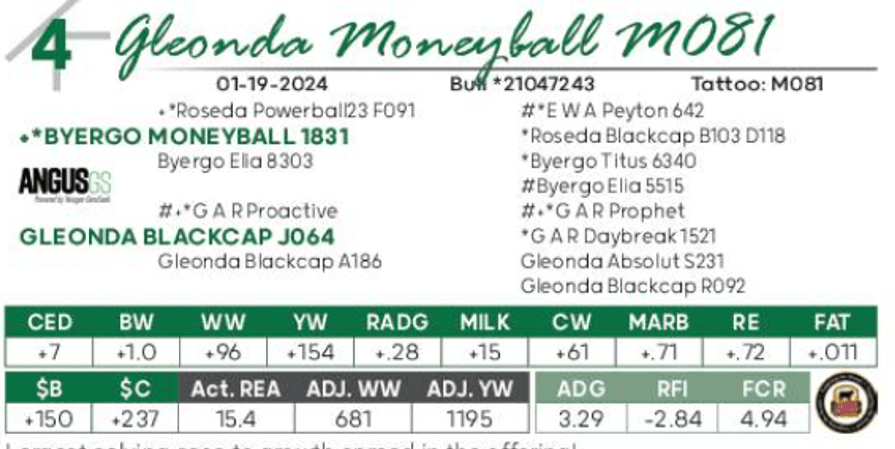 Image for Gleonda Angus Farms 65th Anniversary Sale