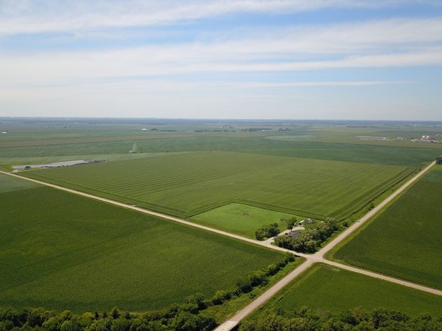 Image for TOP PRODUCING SOUTHEASTERN DODGE CO NON-IRRIGATED NO RESERVE FARMLAND AUCTION
