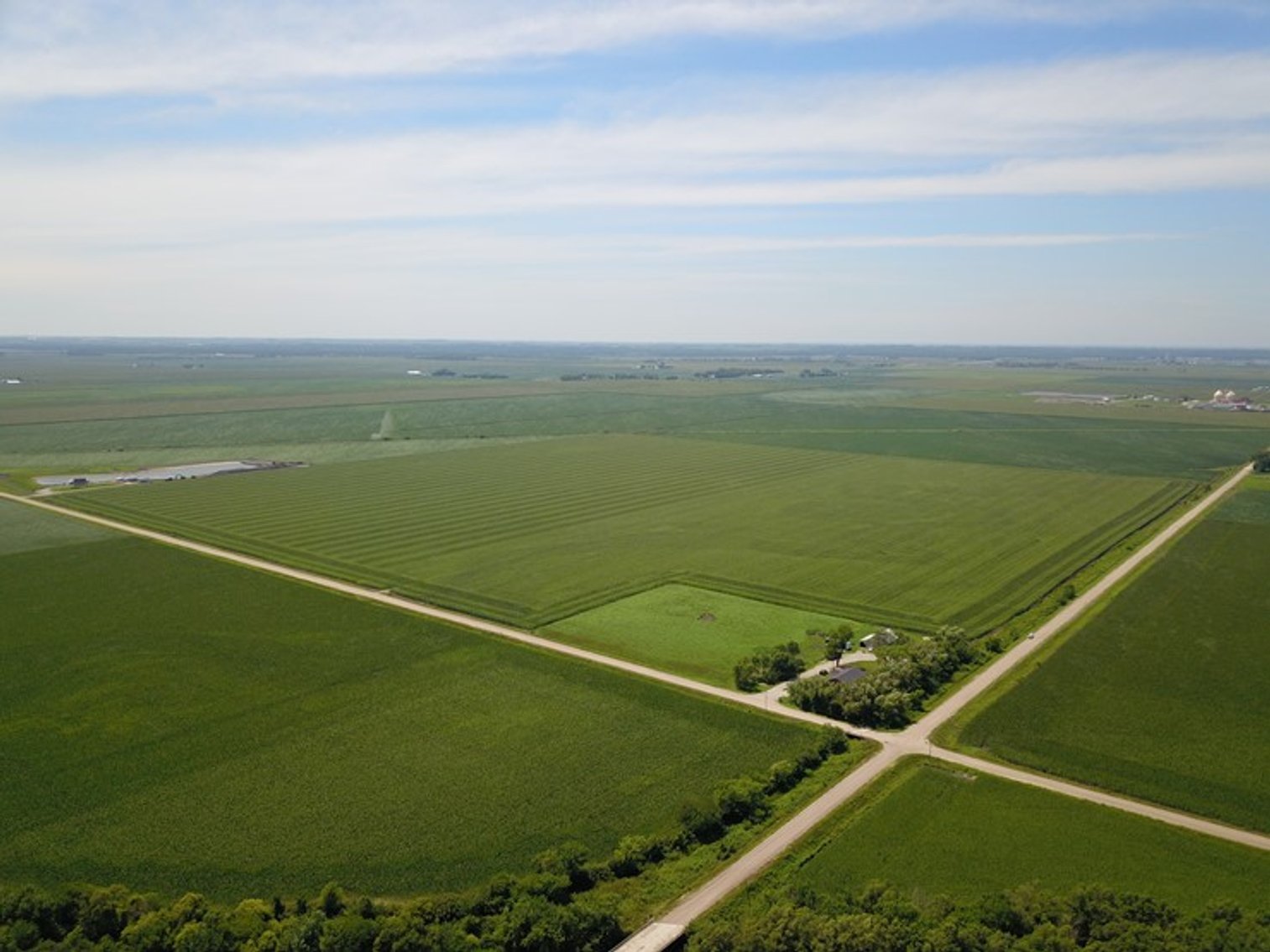 Image for TOP PRODUCING SOUTHEASTERN DODGE CO NON-IRRIGATED NO RESERVE FARMLAND AUCTION