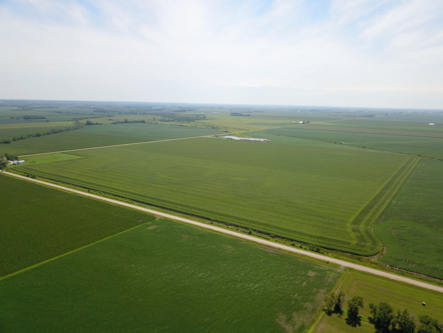 Image for TOP PRODUCING SOUTHEASTERN DODGE CO NON-IRRIGATED NO RESERVE FARMLAND AUCTION