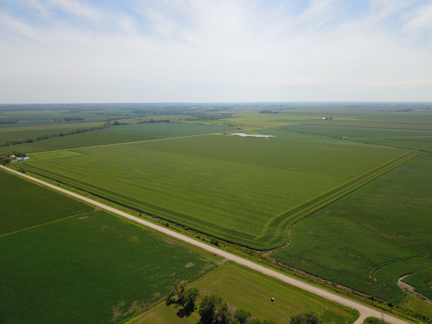 Image for TOP PRODUCING SOUTHEASTERN DODGE CO NON-IRRIGATED NO RESERVE FARMLAND AUCTION