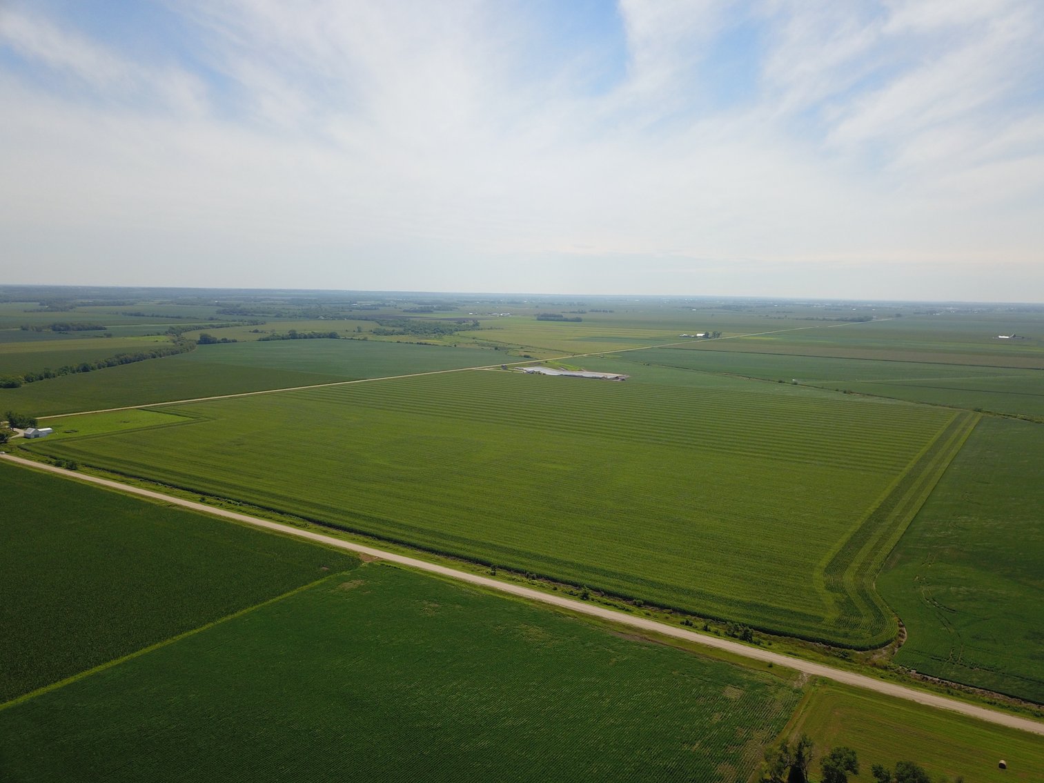 Image for TOP PRODUCING SOUTHEASTERN DODGE CO NON-IRRIGATED NO RESERVE FARMLAND AUCTION