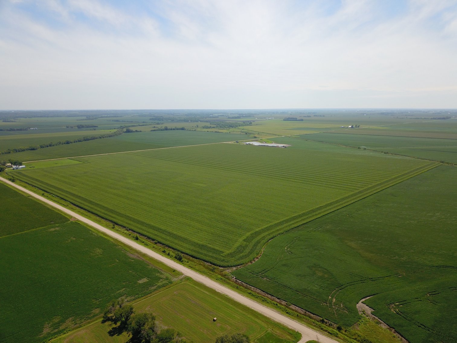 Image for TOP PRODUCING SOUTHEASTERN DODGE CO NON-IRRIGATED NO RESERVE FARMLAND AUCTION