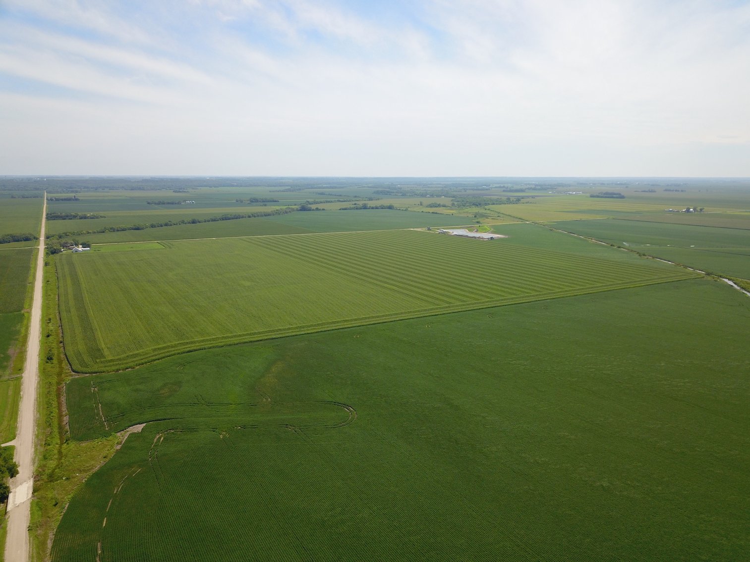 Image for TOP PRODUCING SOUTHEASTERN DODGE CO NON-IRRIGATED NO RESERVE FARMLAND AUCTION