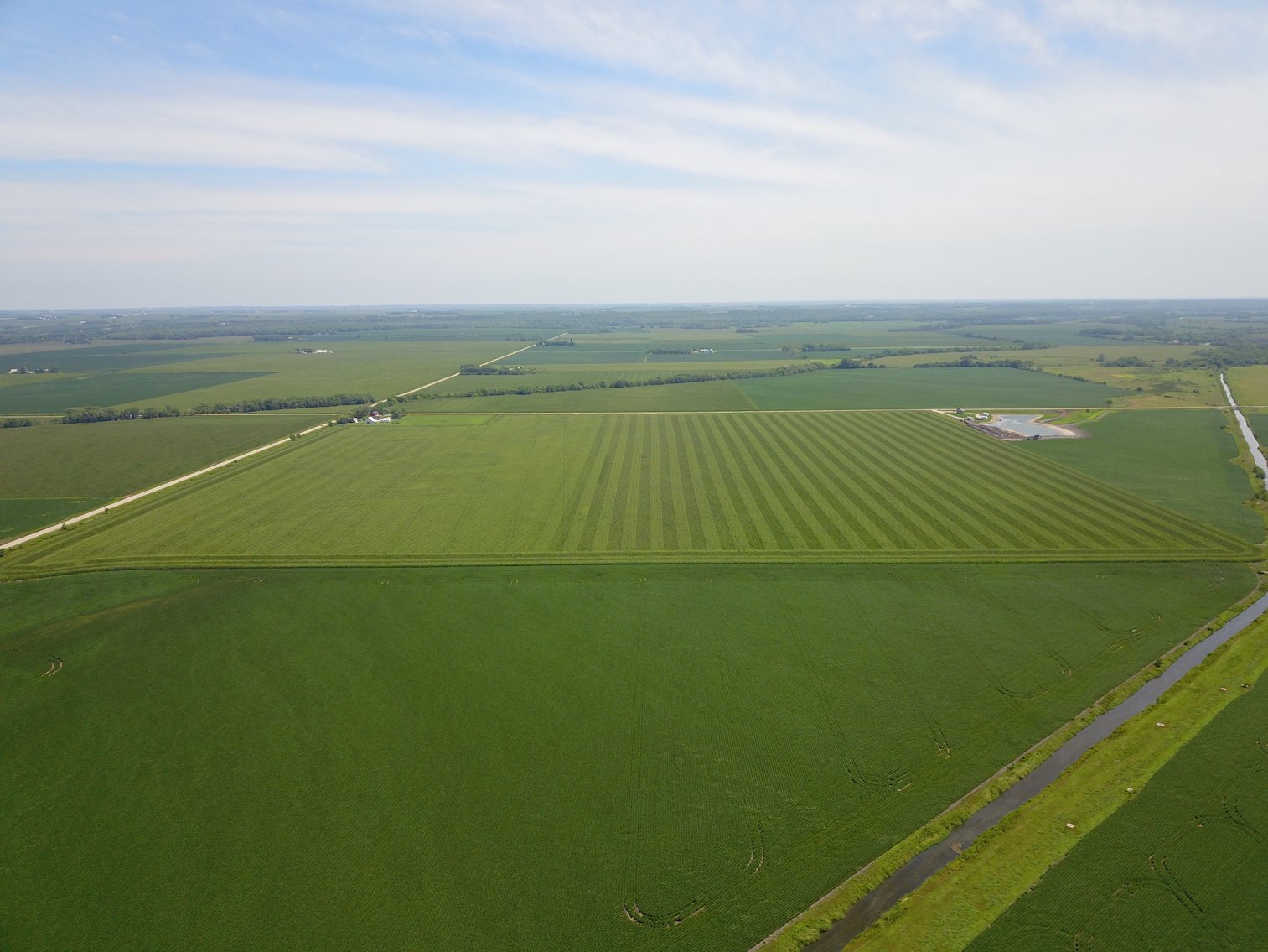 Image for TOP PRODUCING SOUTHEASTERN DODGE CO NON-IRRIGATED NO RESERVE FARMLAND AUCTION