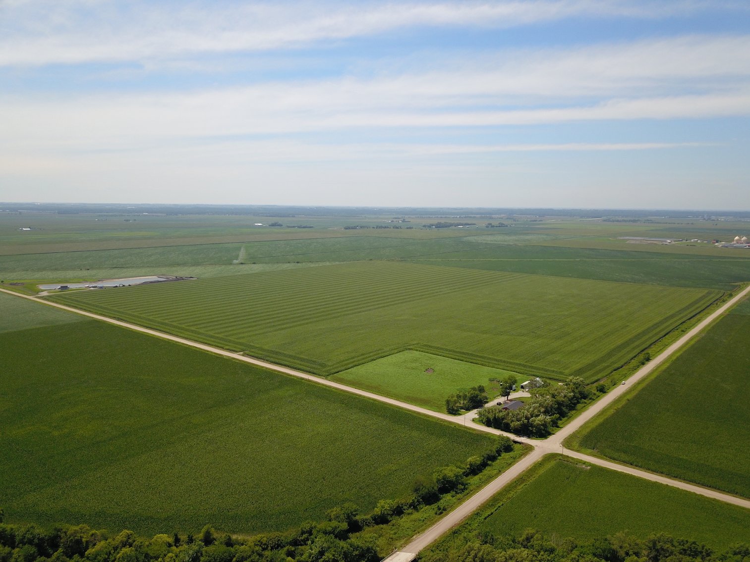 Image for TOP PRODUCING SOUTHEASTERN DODGE CO NON-IRRIGATED NO RESERVE FARMLAND AUCTION