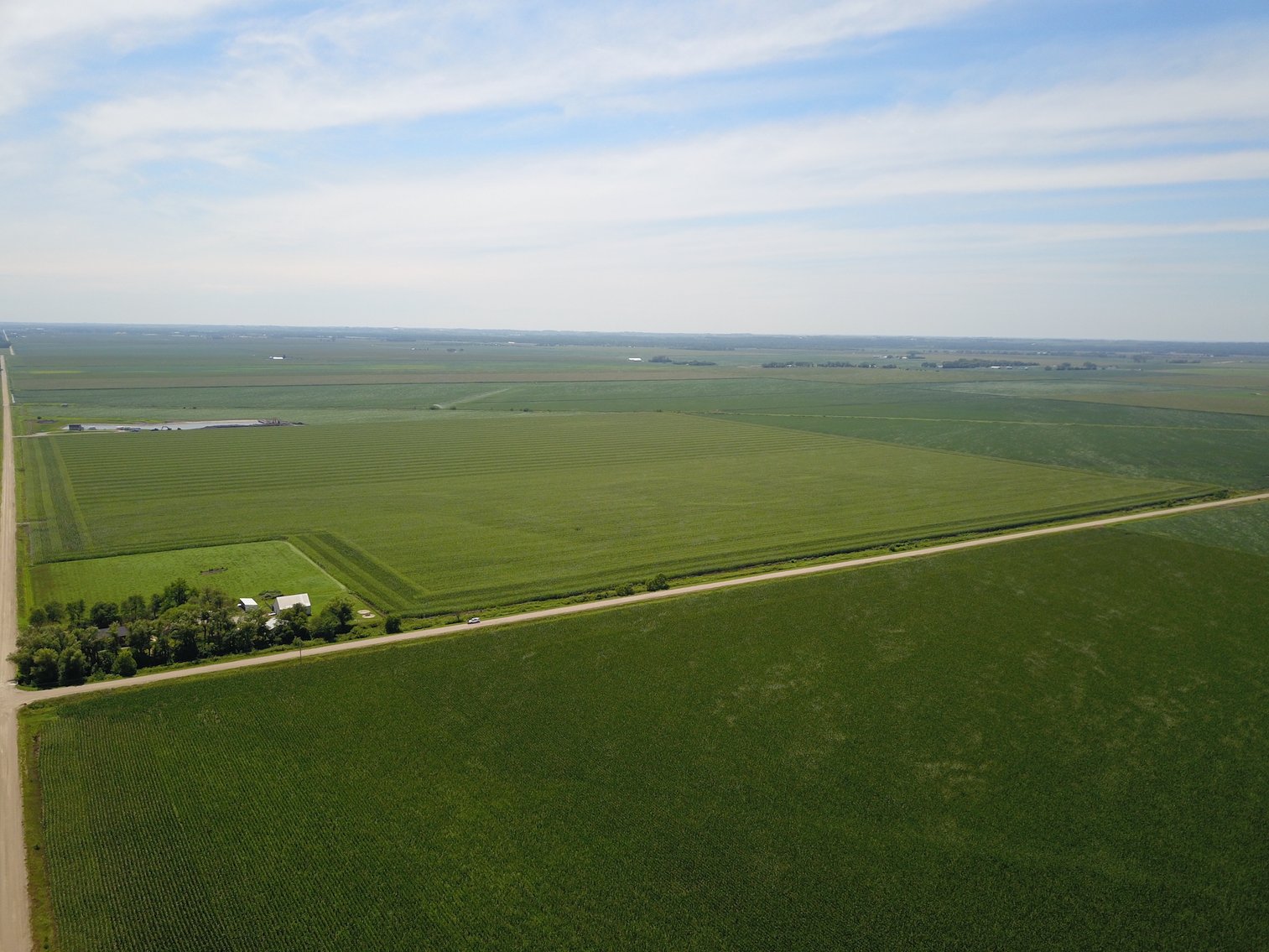 Image for TOP PRODUCING SOUTHEASTERN DODGE CO NON-IRRIGATED NO RESERVE FARMLAND AUCTION
