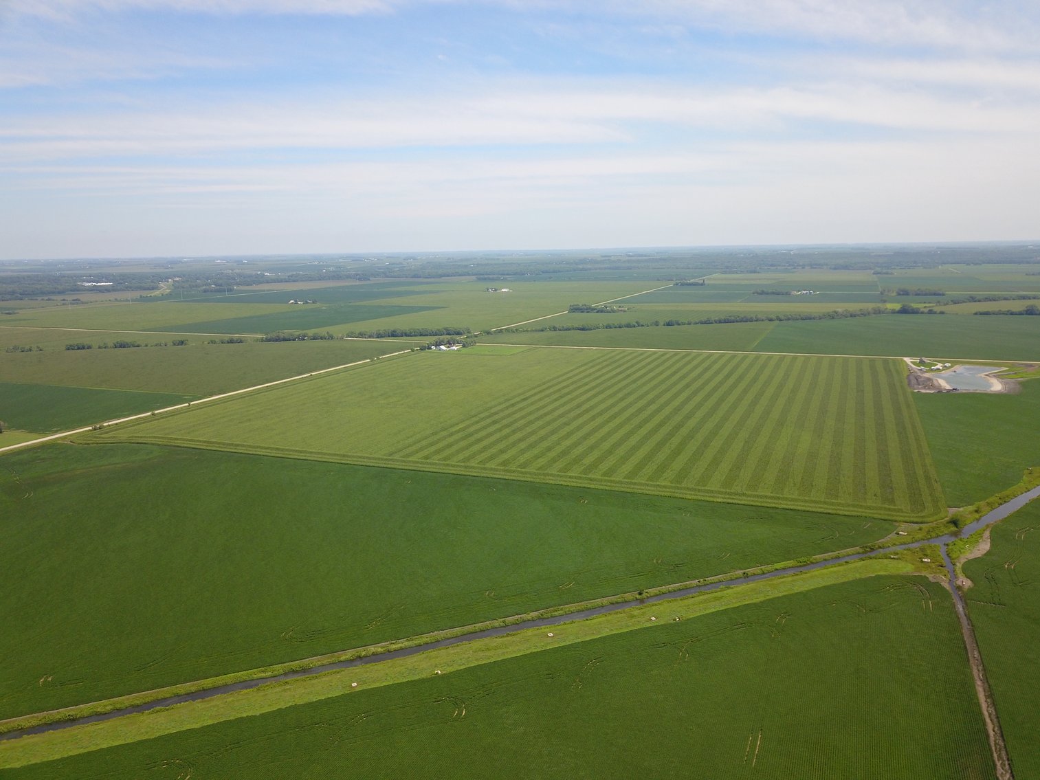 Image for TOP PRODUCING SOUTHEASTERN DODGE CO NON-IRRIGATED NO RESERVE FARMLAND AUCTION