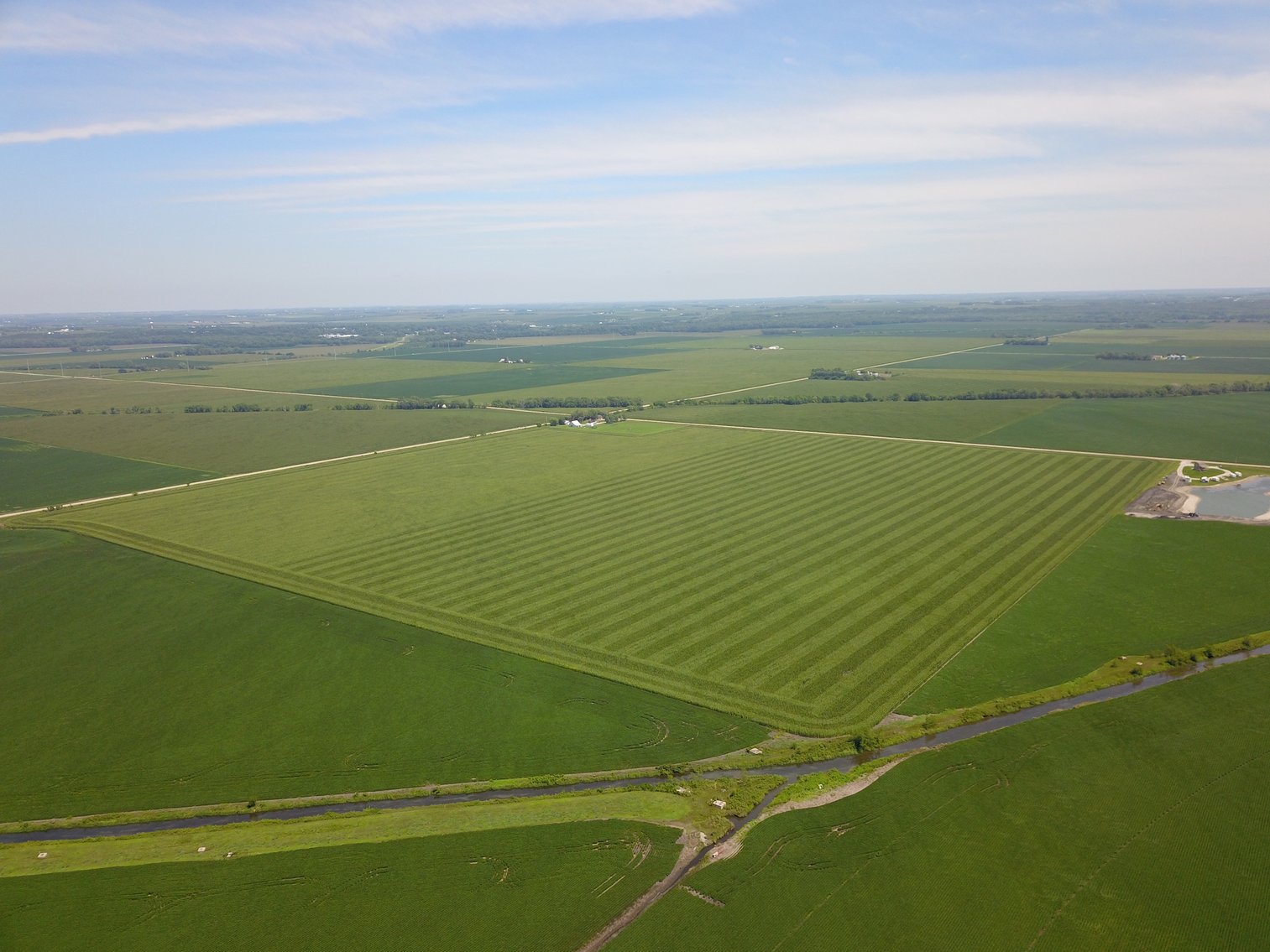 Image for TOP PRODUCING SOUTHEASTERN DODGE CO NON-IRRIGATED NO RESERVE FARMLAND AUCTION