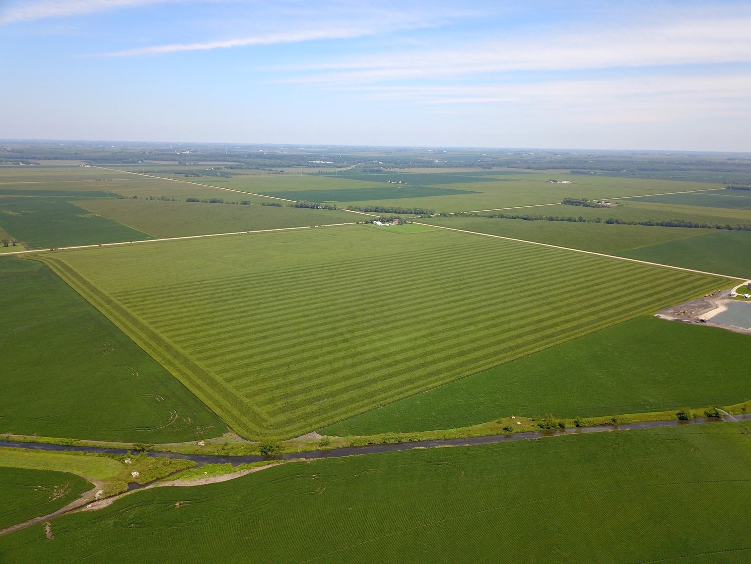 Image for TOP PRODUCING SOUTHEASTERN DODGE CO NON-IRRIGATED NO RESERVE FARMLAND AUCTION
