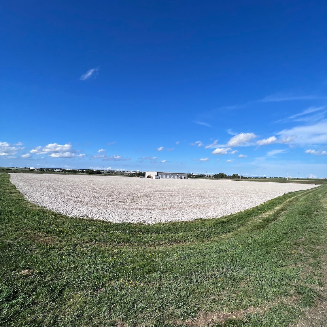 Image for TREMENDOUS HIGH VISIBILITY COMMERCIAL PROPERTY NO RESERVE LIVE AUCTION