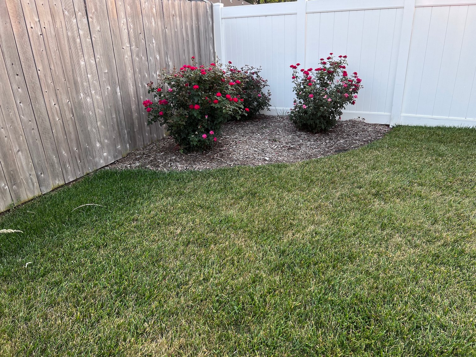 Image for SUPER CLEAN 3 BEDROOM RANCH HOME LIVE AUCTION