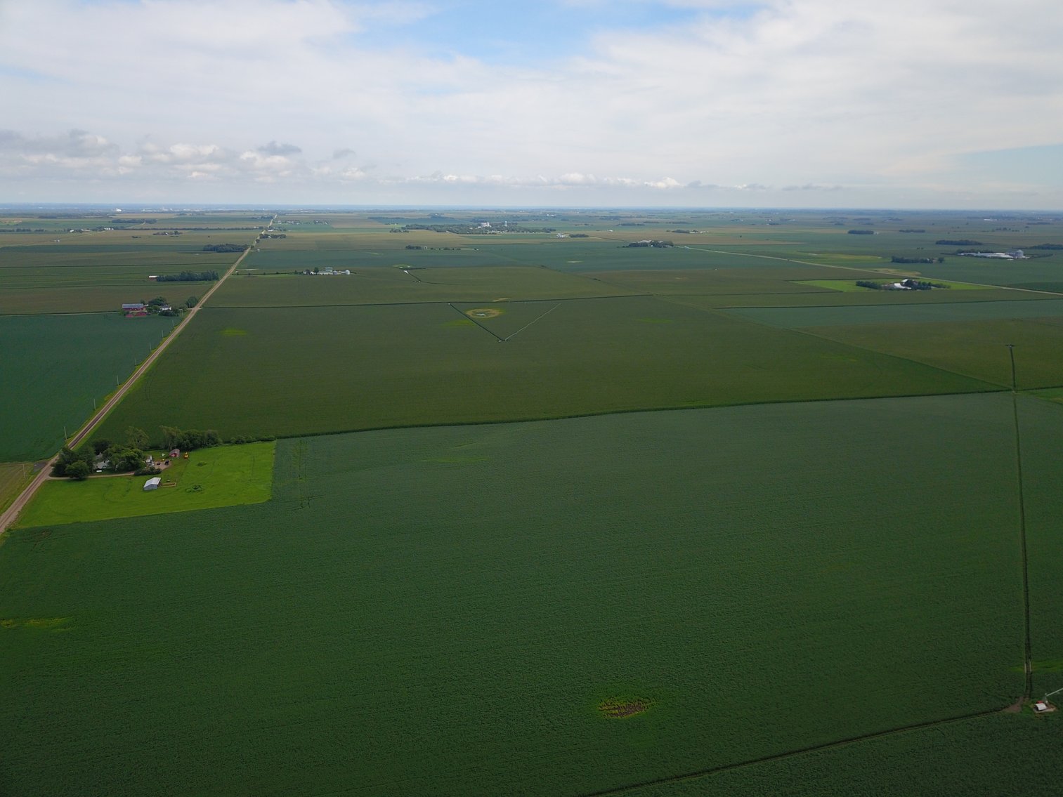 Image for IN PERSON/ONLINE N. CENTRAL SAUNDERS CO PIVOT IRRIGATED RETIREMENT FARMLAND AUCTION