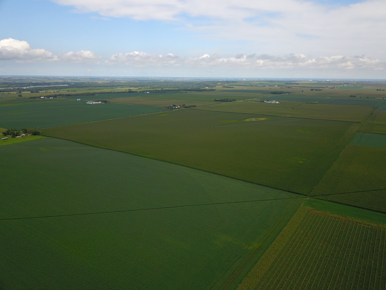 Image for IN PERSON/ONLINE N. CENTRAL SAUNDERS CO PIVOT IRRIGATED RETIREMENT FARMLAND AUCTION