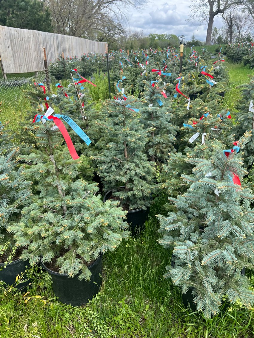 Image for LINE #2 - Truck Auction UNLOTTED Items