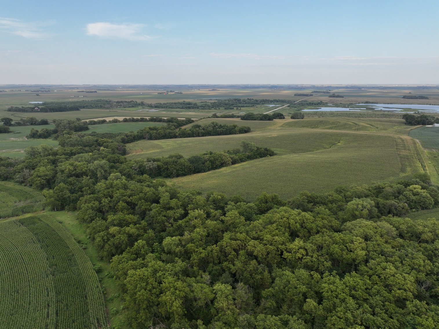 Image for Highly Visible Commercial & Residential Development Potential No Reserve Land Auction