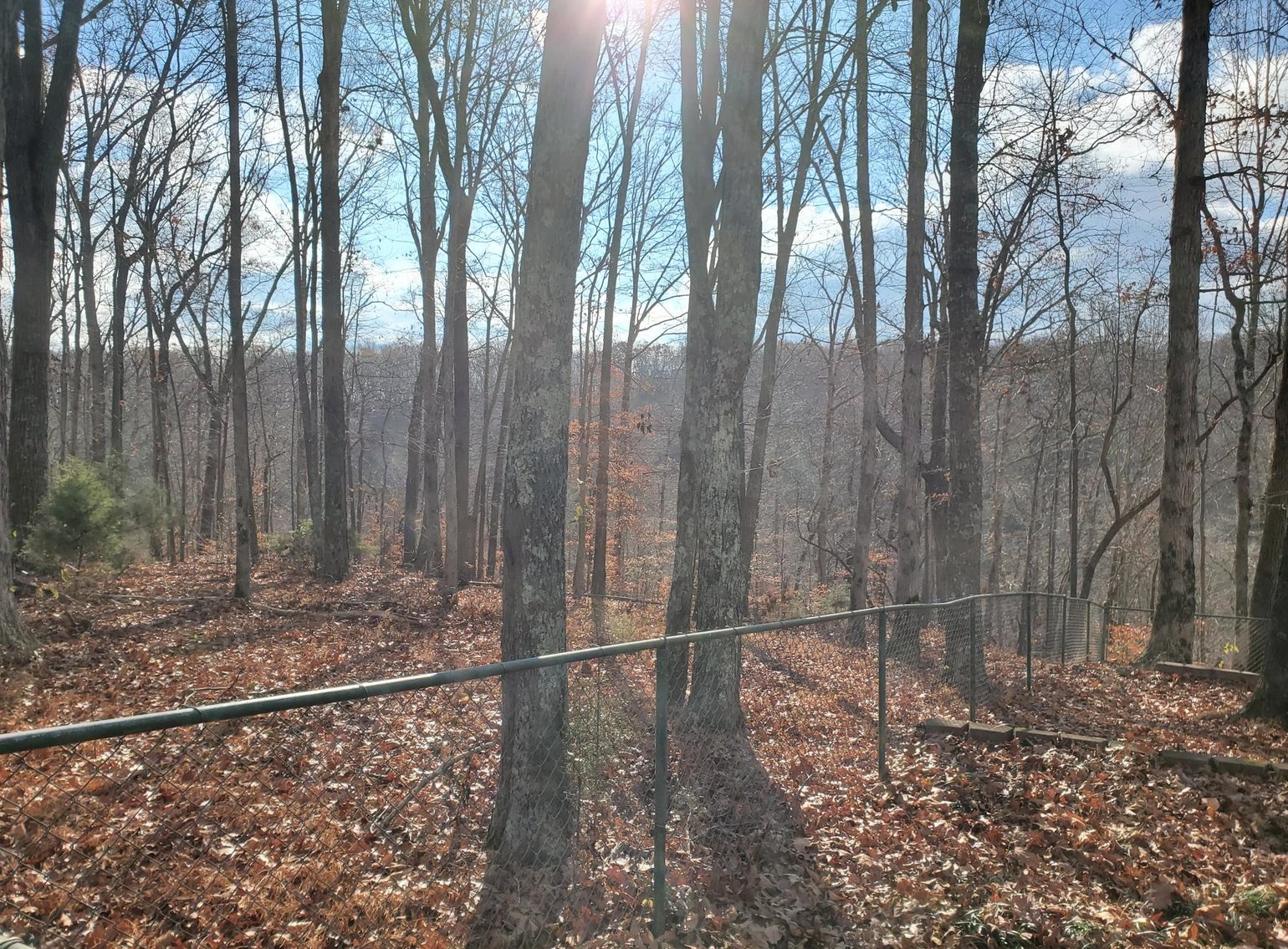 Image for 732 Fairview School Rd. Normandy, TN 37360