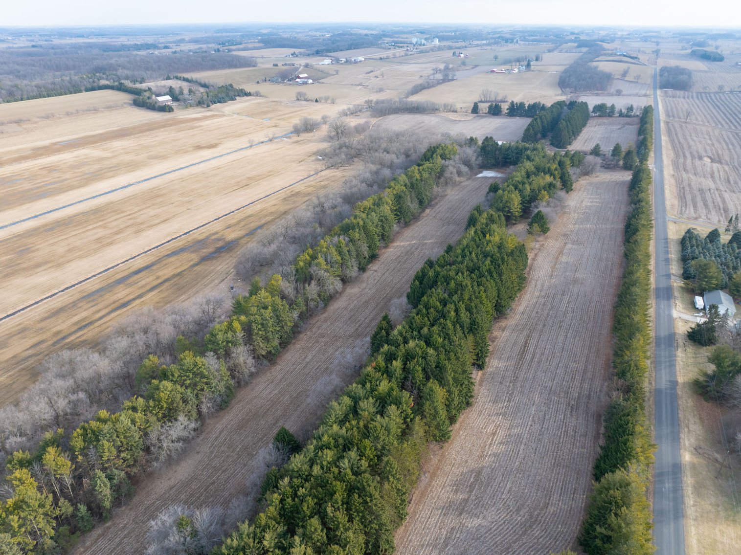 Image for +/- 76 Acres Land and Farmhouse For Sale by Online Bid at N1566 Scofield Rd, Town of Lebanon