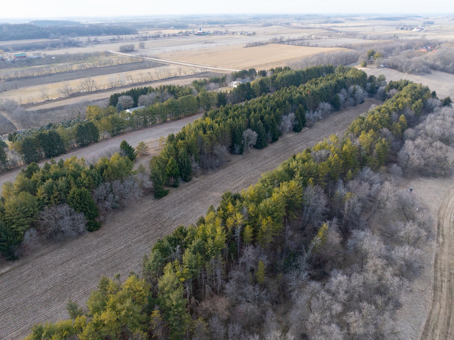 Image for +/- 76 Acres Land and Farmhouse For Sale by Online Bid at N1566 Scofield Rd, Town of Lebanon