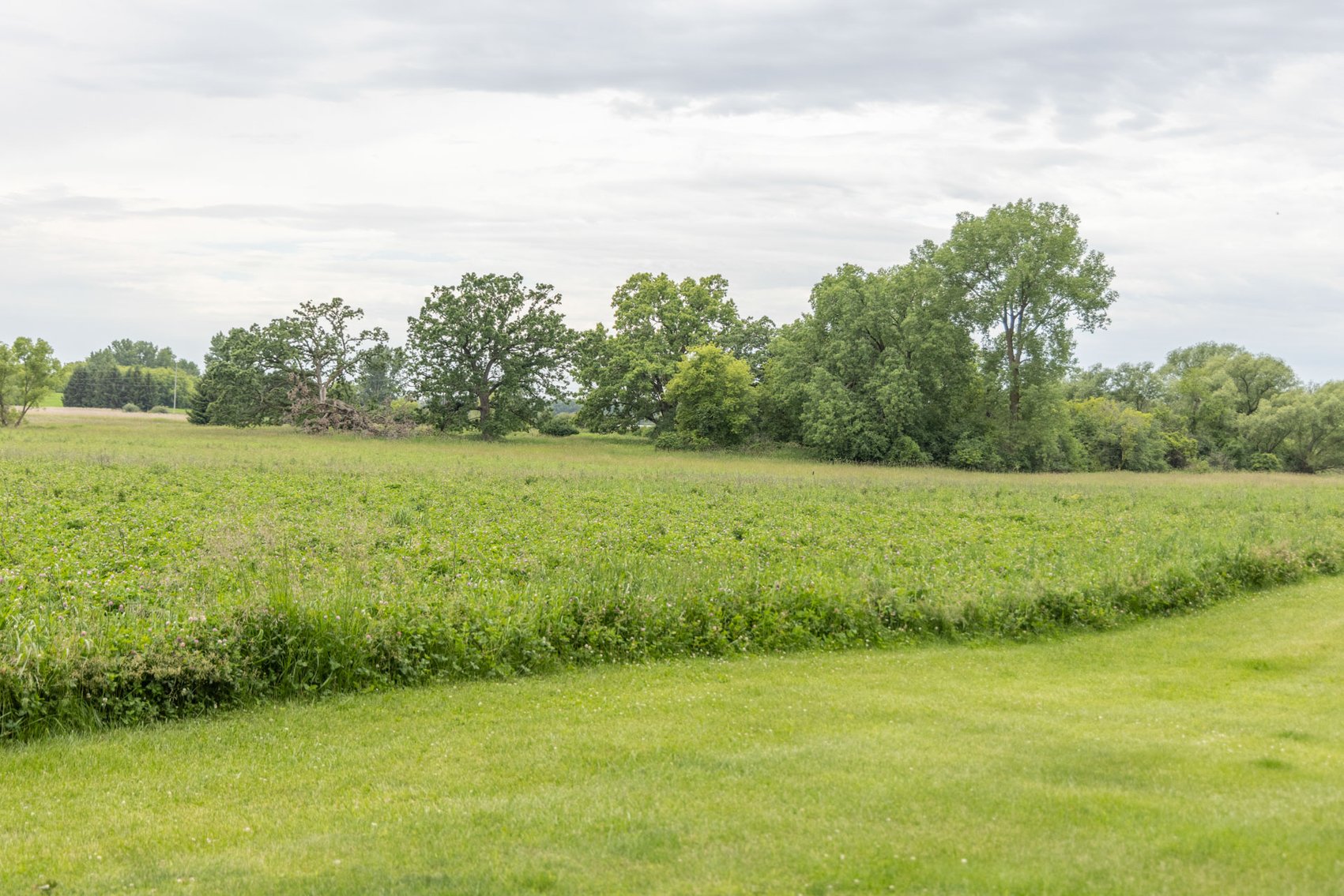 Image for 65 acre Hunting Land & Private Retreat, Fox Lake, WI