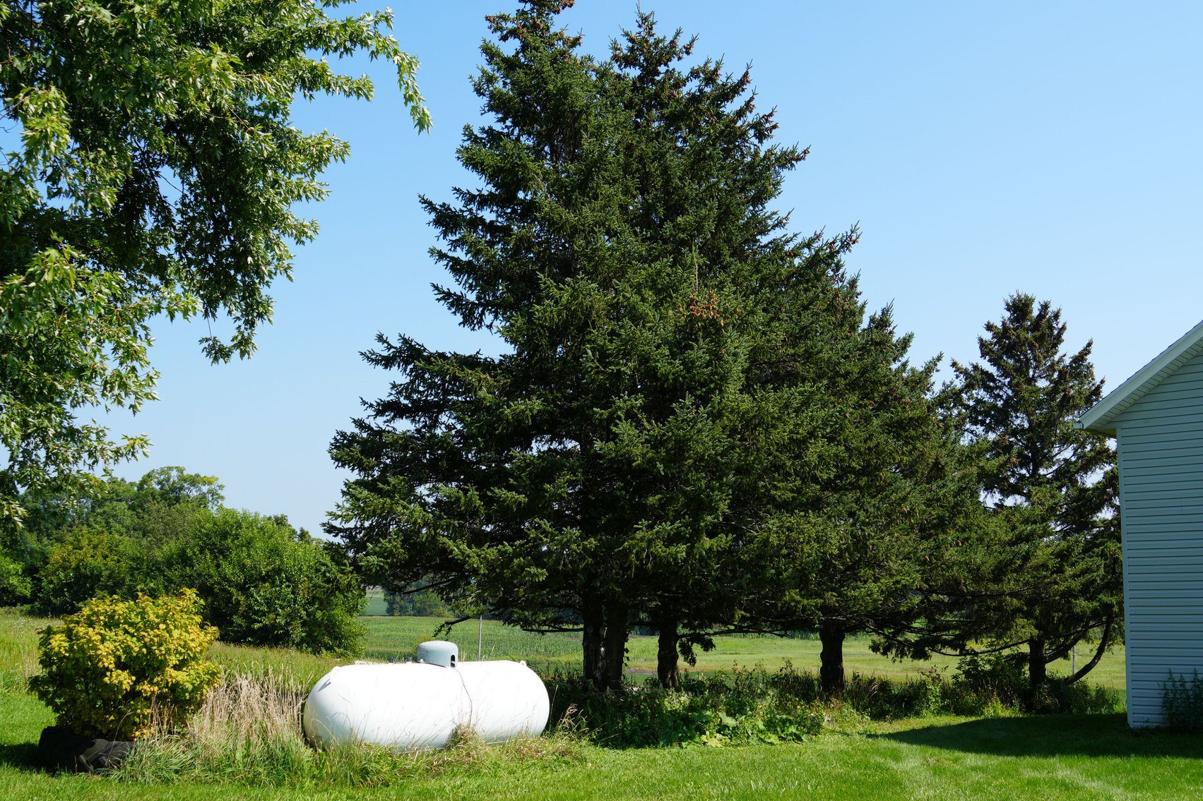 Image for N2791 County Road E, Watertown - 4 (mol) acre Rural Home