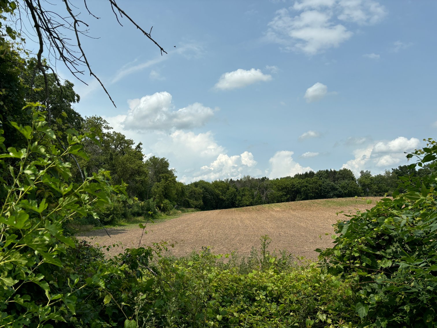 Image for 22 Acres Vacant Land, Kohlhoff Ln, Watertown For Sale by Online Bidding