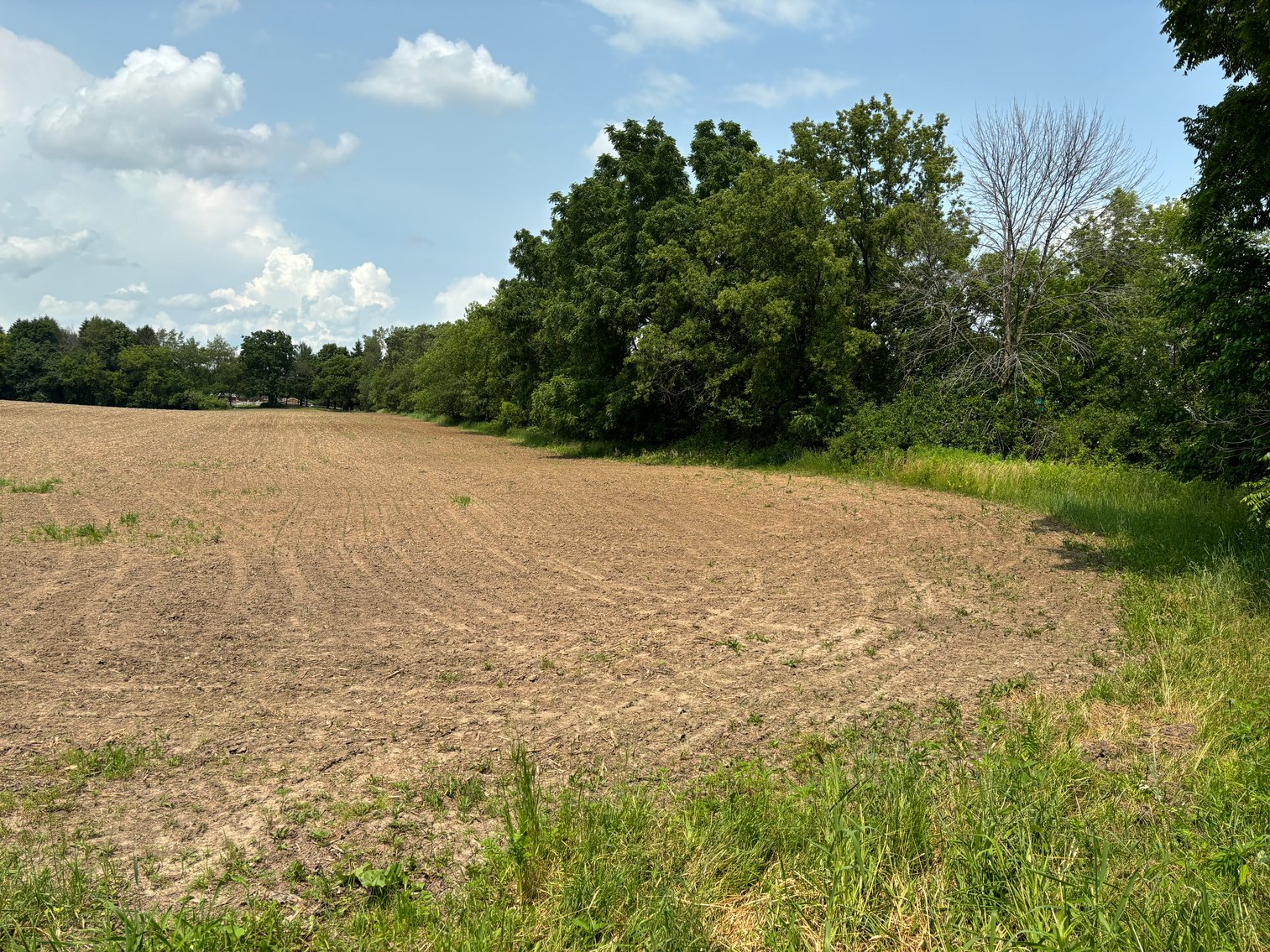 Image for 22 Acres Vacant Land, Kohlhoff Ln, Watertown For Sale by Online Bidding