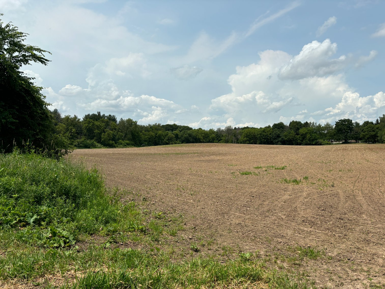 Image for 22 Acres Vacant Land, Kohlhoff Ln, Watertown For Sale by Online Bidding