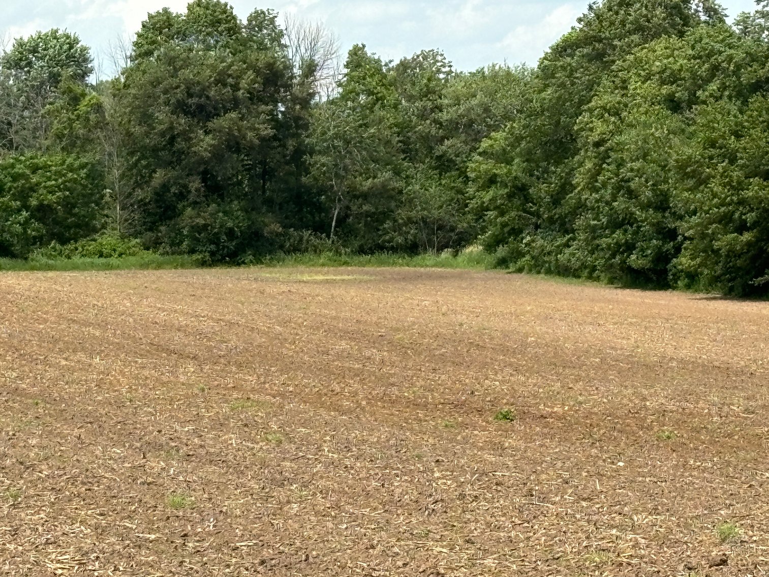 Image for 22 Acres Vacant Land, Kohlhoff Ln, Watertown For Sale by Online Bidding