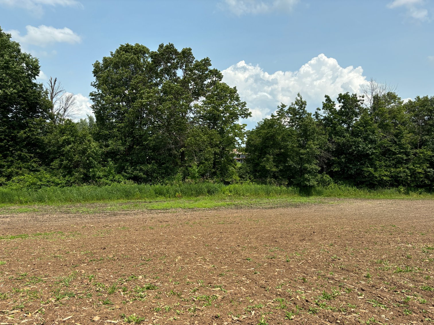 Image for 22 Acres Vacant Land, Kohlhoff Ln, Watertown For Sale by Online Bidding